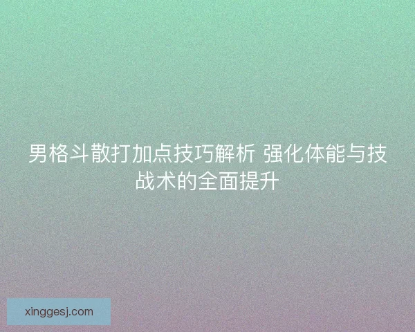 男格斗散打加点技巧解析 强化体能与技战术的全面提升